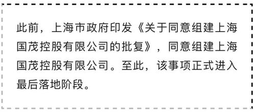 上海市政府批准设立新国企，注册资本130亿元聚焦贸易经纪