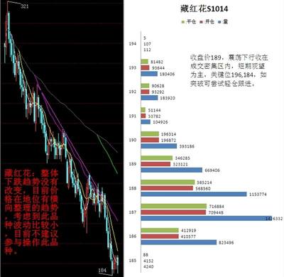 渤海华创(天津)商品贸易经纪10月15日白盘行情评述 - 天津汇港农产品交易市场 贸易经纪